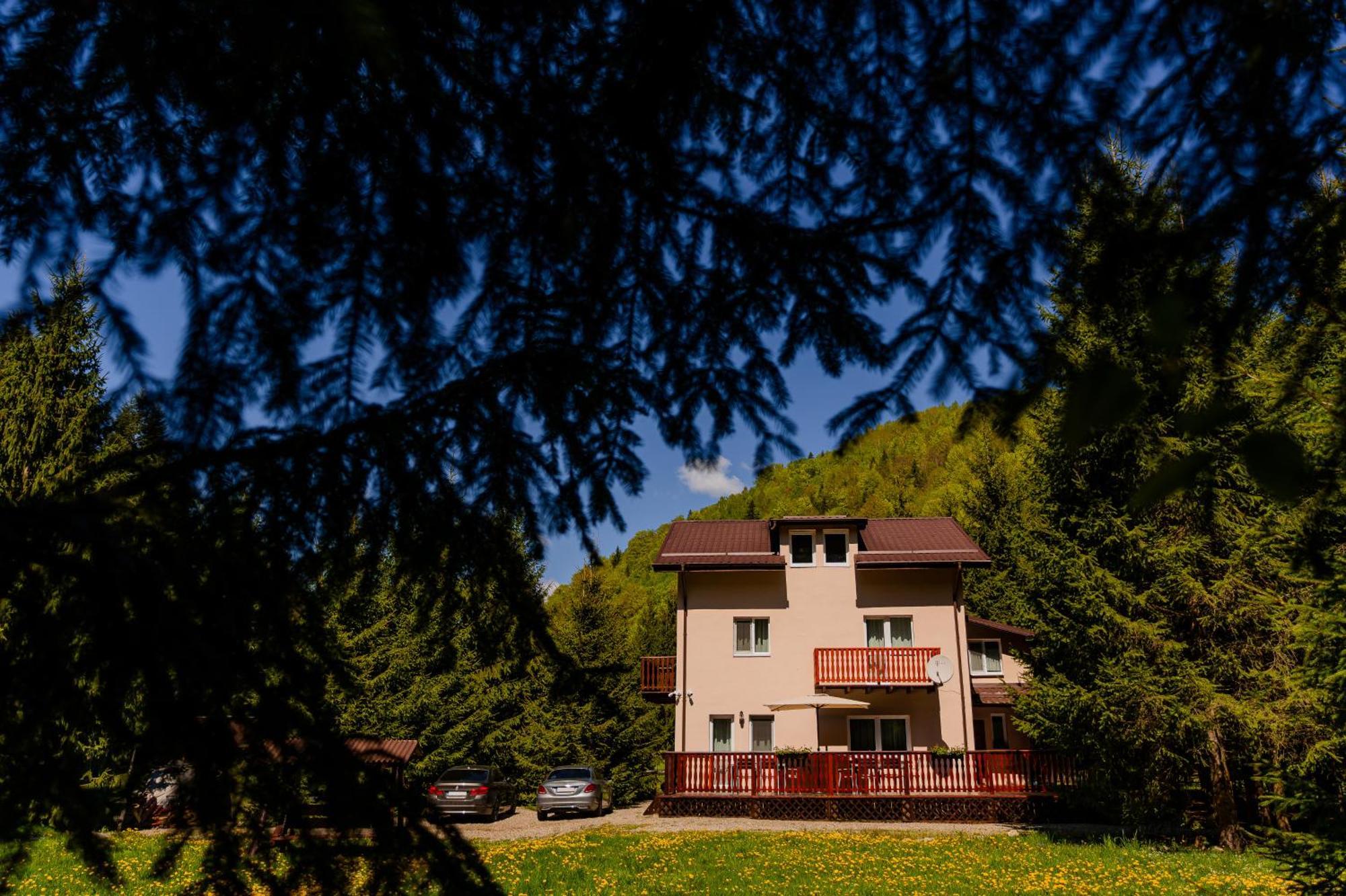 Cabana Zip Zărneşti Dış mekan fotoğraf