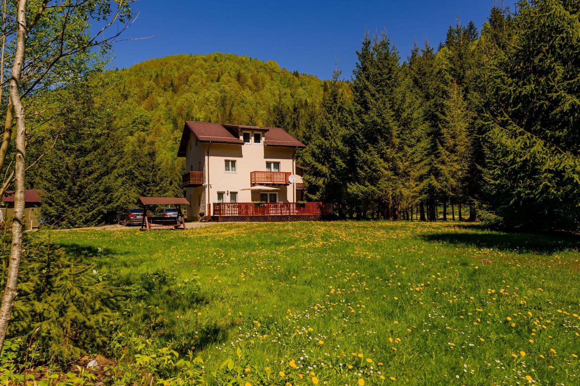 Cabana Zip Zărneşti Dış mekan fotoğraf