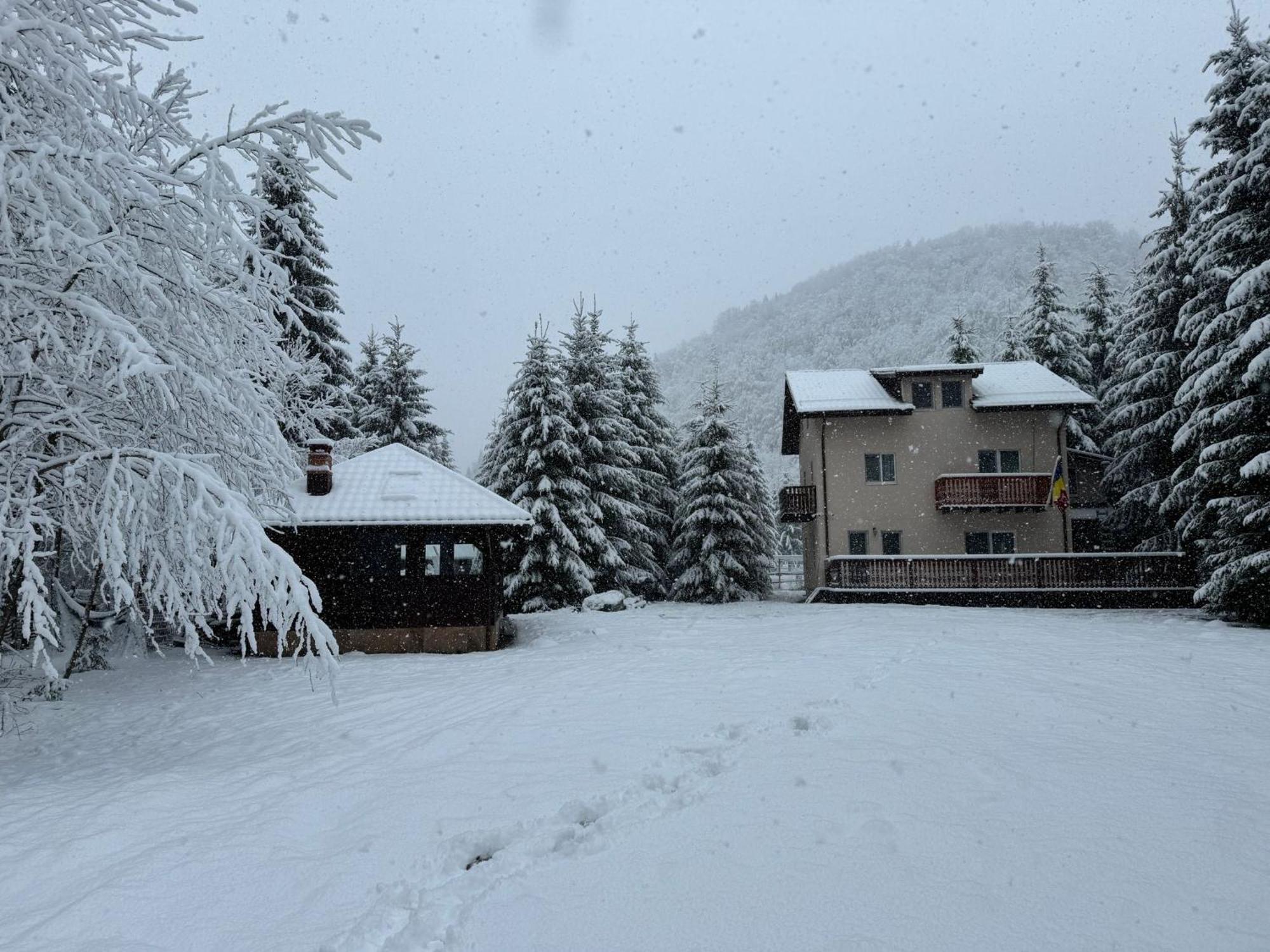 Cabana Zip Zărneşti Dış mekan fotoğraf